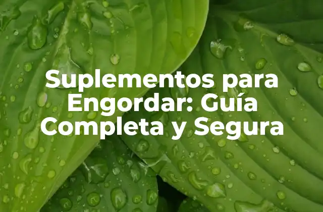 Suplementos para Engordar: Guía Completa y Segura