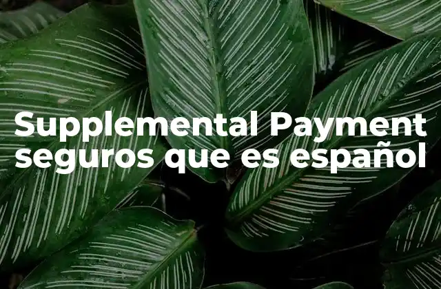 Supplemental Payment Seguros que es Español