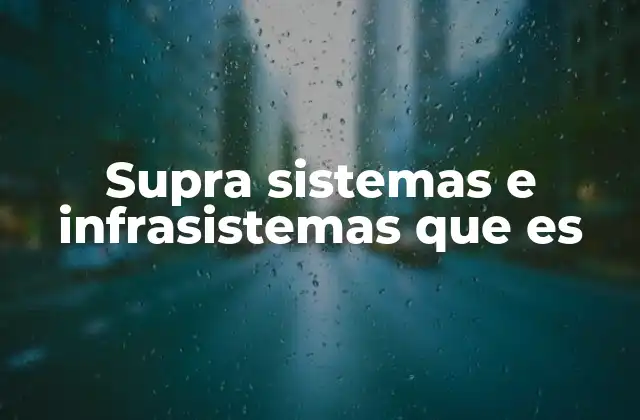 Supra Sistemas e Infrasistemas que es