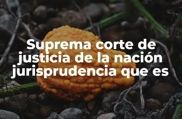 Suprema Corte de Justicia de la Nación Jurisprudencia que es