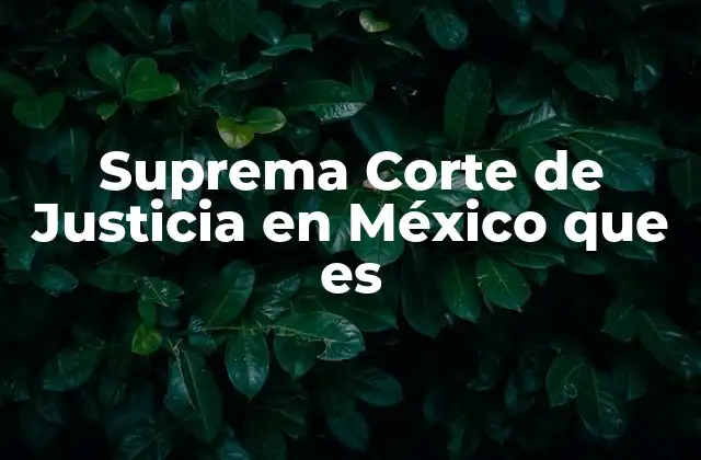 El papel de la Suprema Corte en el sistema legal mexicano