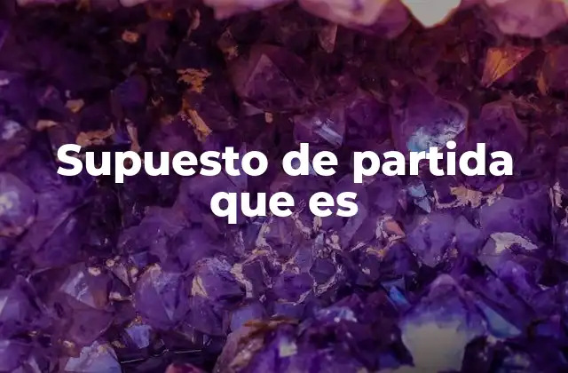 Supuesto de Partida que es