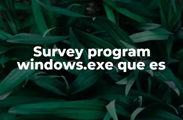 ¿Cómo afecta el archivo survey program windows.exe al sistema?