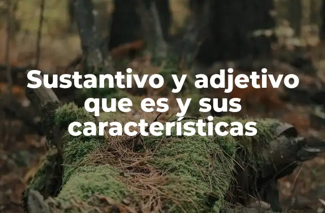 Sustantivo y Adjetivo que es y Sus Características