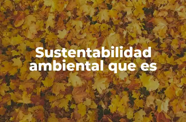 Sustentabilidad Ambiental que es