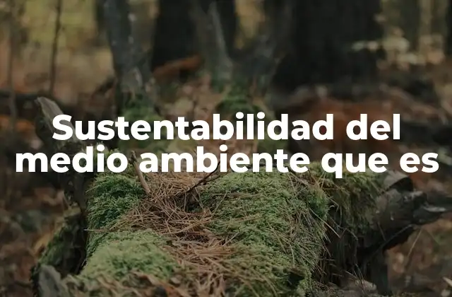 Sustentabilidad Del Medio Ambiente que es