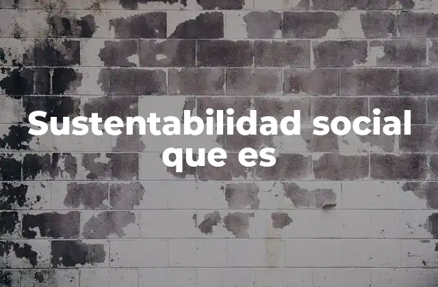 Sustentabilidad Social que es