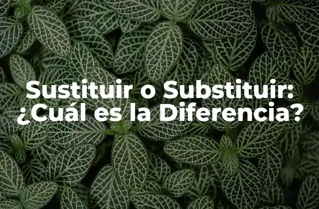 Sustituir o Substituir: ¿cuál es la Diferencia?