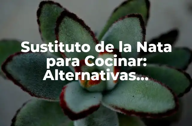 ¿Cuáles son los Problemas con la Nata?