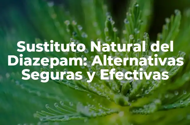 Sustituto Natural Del Diazepam: Alternativas Seguras y Efectivas