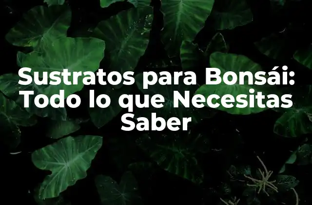 Sustratos para Bonsái: Todo Lo que Necesitas Saber