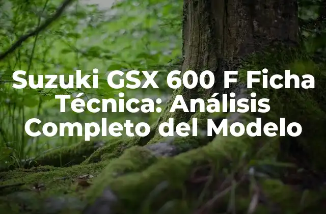 Suzuki Gsx 600 F Ficha Técnica: Análisis Completo Del Modelo