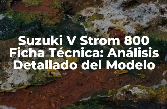 Diseño y Estilo de la Suzuki V Strom 800