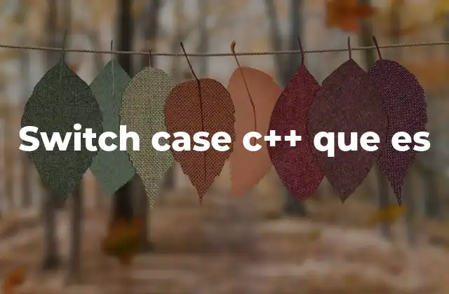Switch Case C++ que es