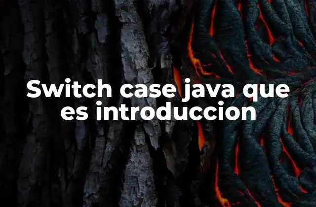 Switch Case Java que es Introduccion