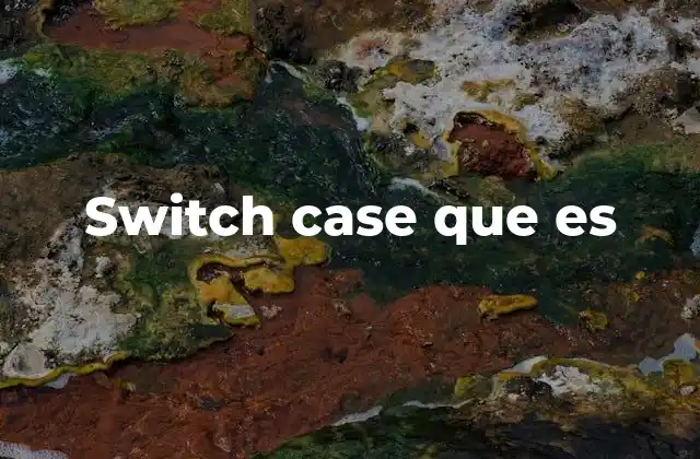 Switch Case que es