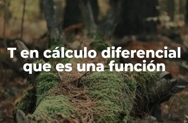T en Cálculo Diferencial que es una Función