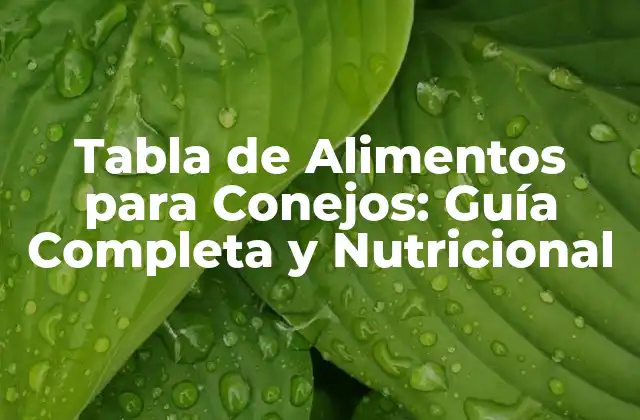 Tabla de Alimentos para Conejos: Guía Completa y Nutricional