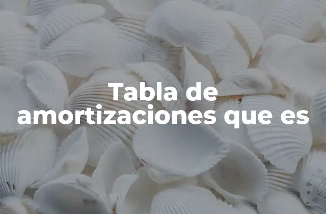 Tabla de Amortizaciones que es
