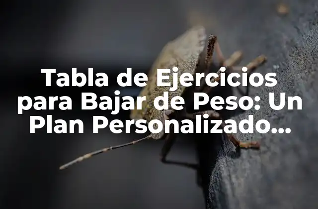 Tabla de Ejercicios para Bajar de Peso: un Plan Personalizado para Tu Salud