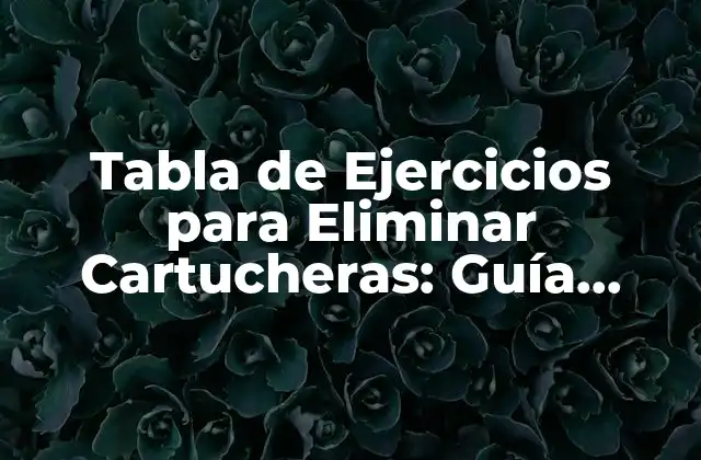 Tabla de Ejercicios para Eliminar Cartucheras: Guía Completa