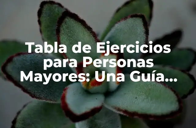 Tabla de Ejercicios para Personas Mayores: una Guía Completa para Mantenerse Activo y Saludable