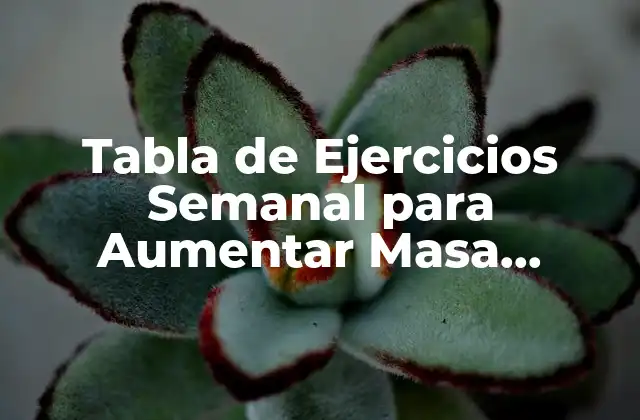 Tabla de Ejercicios Semanal para Aumentar Masa Muscular: Guía Completa