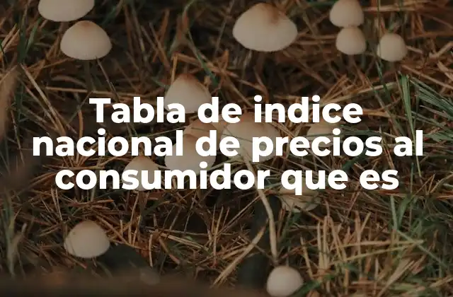 La importancia del INPC en la economía nacional