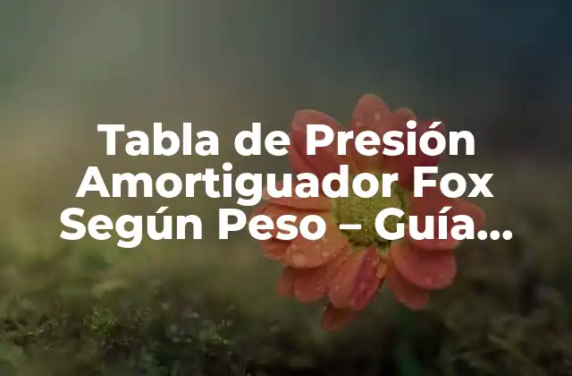 Tabla de Presión Amortiguador Fox según Peso – Guía Completa