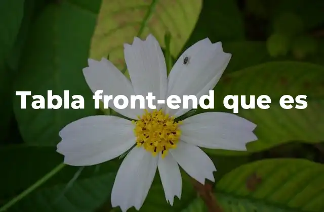 Tabla Front-end que es