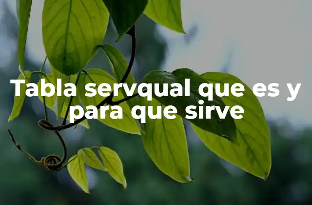 Tabla Servqual que es y para que Sirve