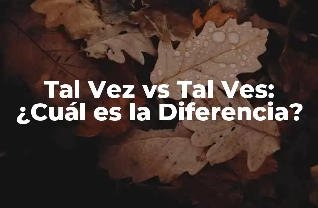 Tal Vez Vs Tal Ves: ¿cuál es la Diferencia?