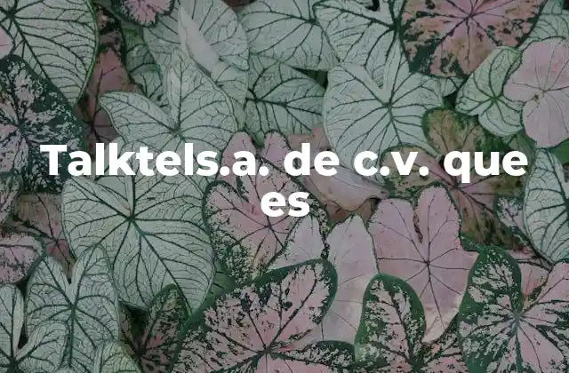 Talktels.a. de C.v. que es