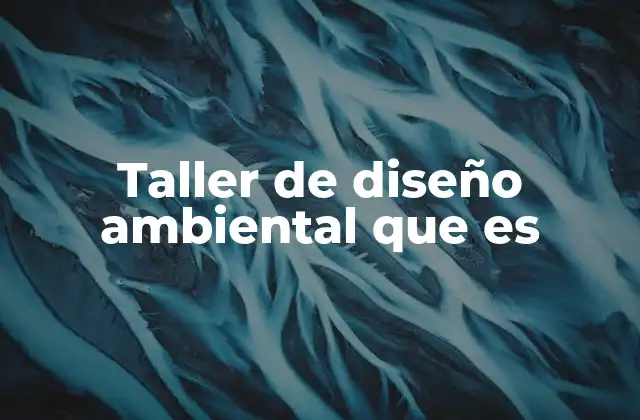 Taller de Diseño Ambiental que es