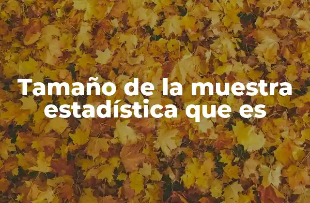 Tamaño de la Muestra Estadística que es 2 Cómo determinar el tamaño de la muestra para un estudio
