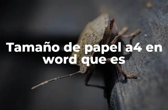 Tamaño de Papel A4 en Word que es