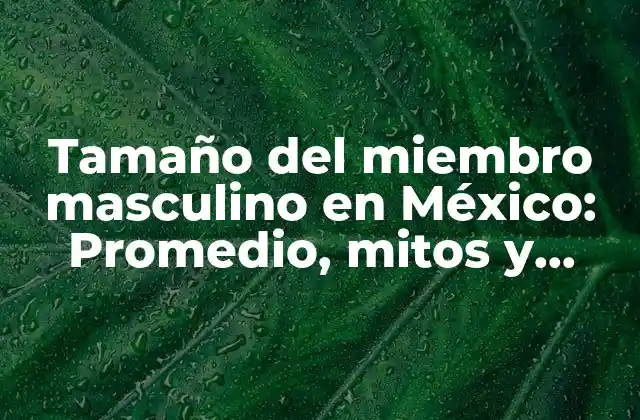 Tamaño Del Miembro Masculino en México: Promedio, Mitos y Realidad