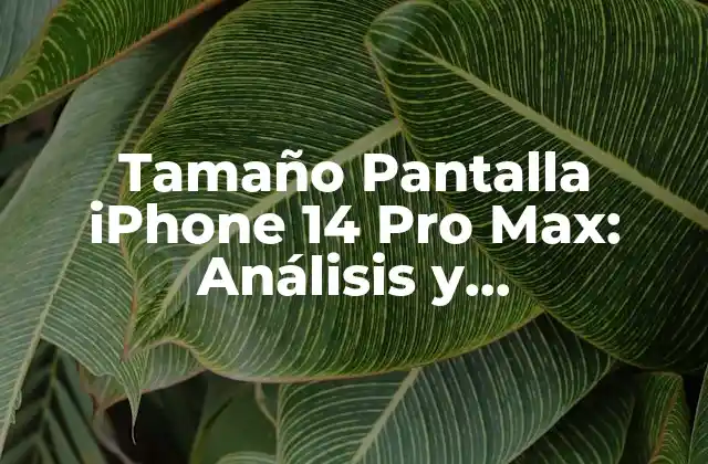 ¿Cuál es el Tamaño de la Pantalla del iPhone 14 Pro Max?