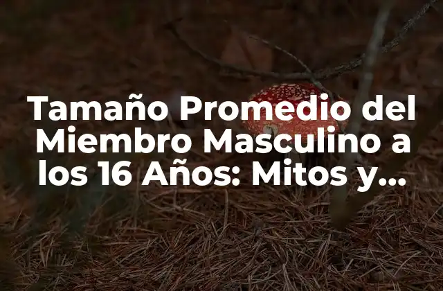 Tamaño Promedio Del Miembro Masculino a los 16 Años: Mitos y Realidades