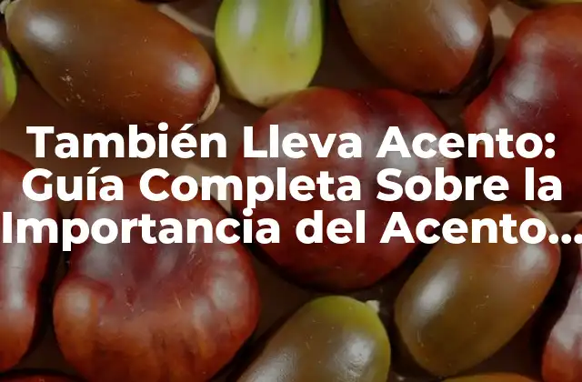 También Lleva Acento: Guía Completa sobre la Importancia Del Acento en el Idioma Español