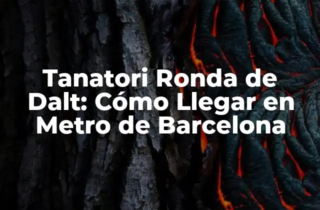 Tanatori Ronda de Dalt: Cómo Llegar en Metro de Barcelona
