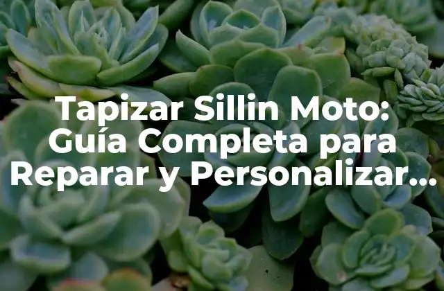 Tapizar Sillin Moto: Guía Completa para Reparar y Personalizar Tu Asiento de Motocicleta