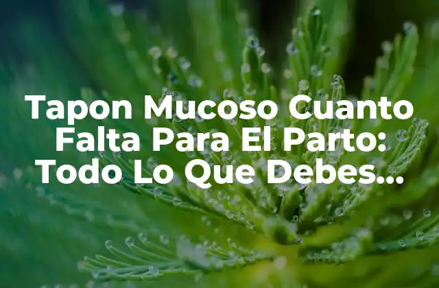 Tapon Mucoso Cuanto Falta para el Parto: Todo Lo que Debes Saber