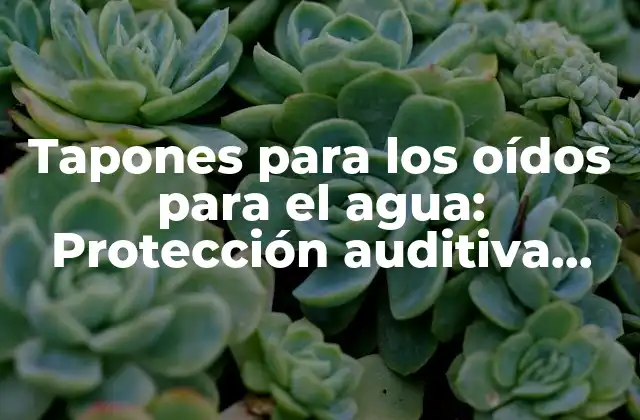 Tapones para los Oídos para el Agua: Protección Auditiva para Actividades Acuáticas