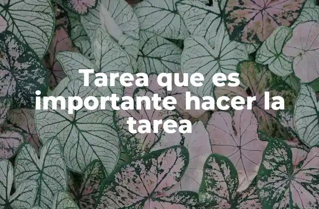 Tarea que es Importante Hacer la Tarea