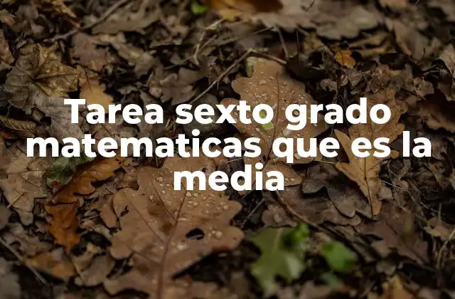 Tarea Sexto Grado Matematicas que es la Media