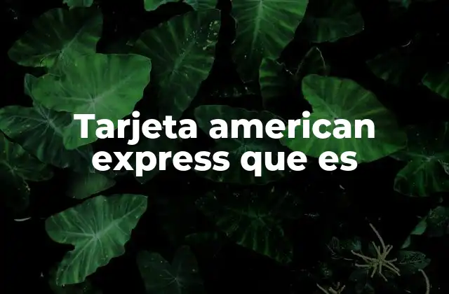 Tarjeta American Express que es 2 Características principales de las tarjetas American Express