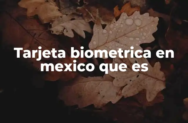 Tarjeta Biometrica en Mexico que es