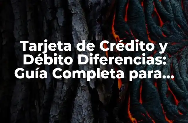 Tarjeta de Crédito y Débito Diferencias: Guía Completa para Entender las Opciones