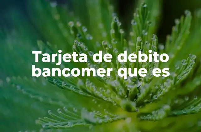 Tarjeta de Debito Bancomer que es